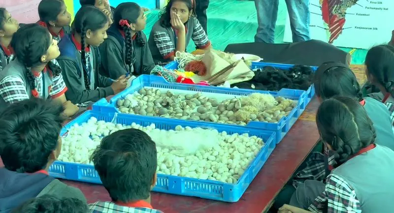 Silk Cocoons Exhibit