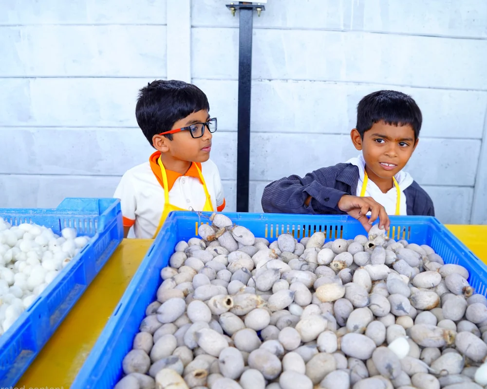 Silk Cocoons Exhibit